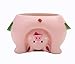 Youfui Adorable Succulent Planter Pig Flower Pot with Drainage Hole - Pencil Brush Holder - Cute Resin Decorative Garden Planter for Indoor Plants, Home Decor Gift