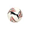 PUMA-Ftblplay-Big-Cat-Balon-de-Futbol-Unisex-Adultos