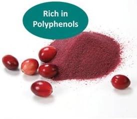 Cranberry Whole Dried Fruit Powder 2oz