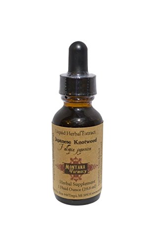 Japanese Knotweed Natural Extract Tincture (Polygonum Cuspidatum) NO ALCOHOL VERSION