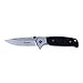 Ganzo G7522 Folding Hunting Pocket EDC Handle Knife (Black)