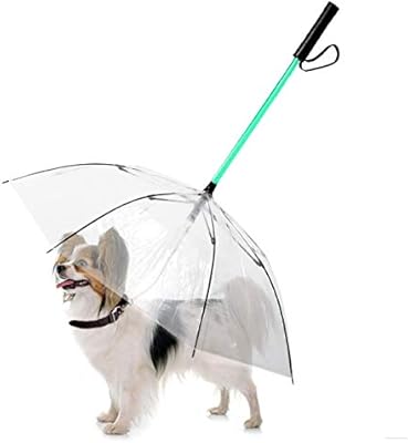 best umbrella for dog walking