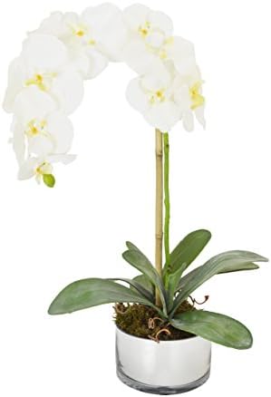 Creative Displays White Phalaenopsis Orchid with Leaves and Bamboos in Silver Mirrored Round Glass Vase