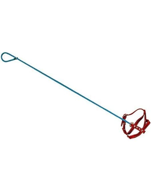 invisible dog leash gag