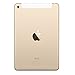 Apple iPad Mini 4 128GB W/Saiborie $49.99 Value Accessories, 7.9