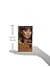 Clairol Natural Instincts 18 Pecan Medium Golden Brown 1 Kit (Pack of 3)