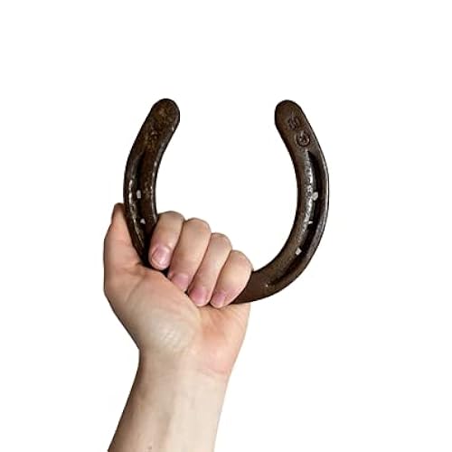 Lucky Horseshoe (Authentic REAL horseshoe worn by a Horse and ready to