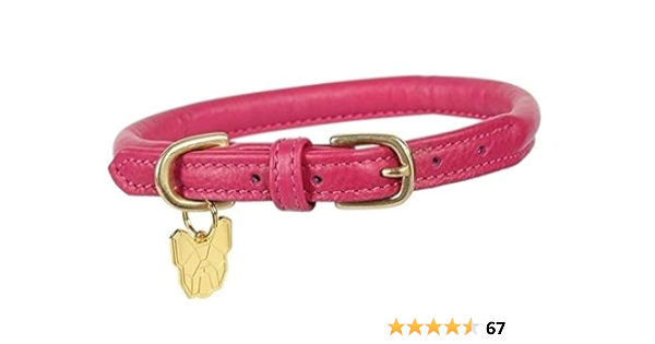 amazon rolled leather dog collar