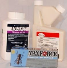 Carpenter Ant Control Kit with Termidor KIT1034