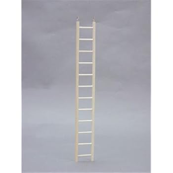 North American Pet BBO22783 Bob Ladder Keet for Pets, 24-Inch