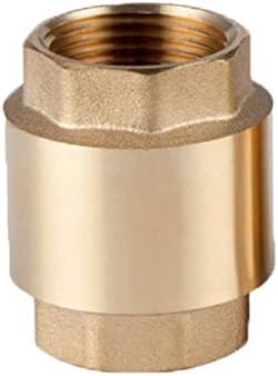 Qiulip Brass Female Male Thread in Line Spring Vertical Check Valve Pump Pipe Fittings