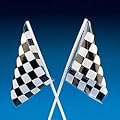 Fun Express Plastic Racing Flags Bulk Novelty