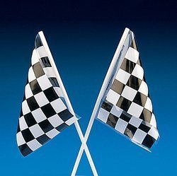 Fun Express Plastic Racing Flags Bulk Novelty