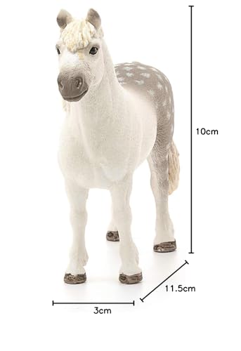 View 6