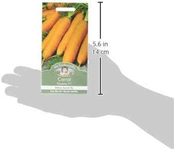 Mr Fothergill's 22481 Vegetable Seeds, Carrot Flyaway F1, Orange - Image 5