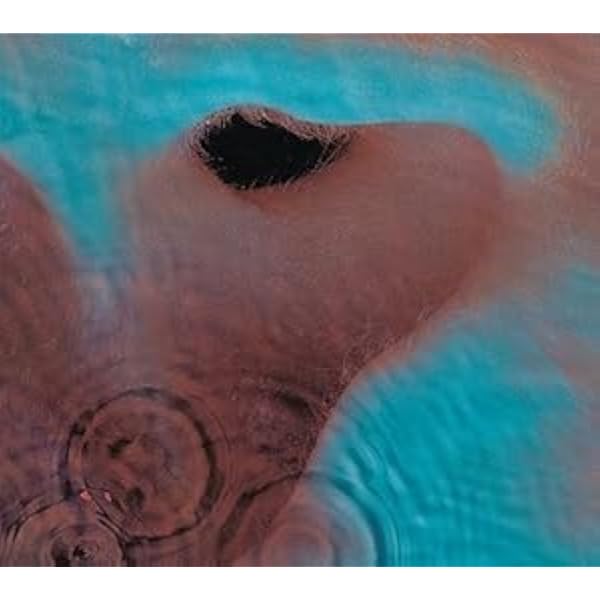 Pink Floyd - Meddle - Amazon.com Music