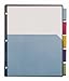 Cardinal Plastic Binder Dividers, 5-Tab, Single Pocket, Insertable Multicolor Tabs, Letter Size, 1 Set (84016)