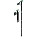 LEKI Micro Vario Carbon DSS Trekking Pole