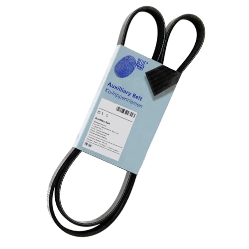 Blue Print AD04R845 Correa Trapecial Poli V