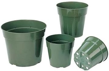 Set of 10 Small Green 4-inch Plastic Pots for Herb, Fruit or Vegetable Seedlings or Pots for spring seed planting