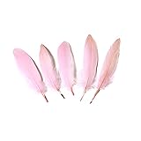 Goose feather,Hgshow 100Pcs beautiful feathers 6-8 inches 15-20 cm, choose color Useful charming