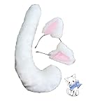 Anime Party Lolita Cosplay Costume Black Fox Cat