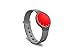 Misfit Flash (Gray, Red)