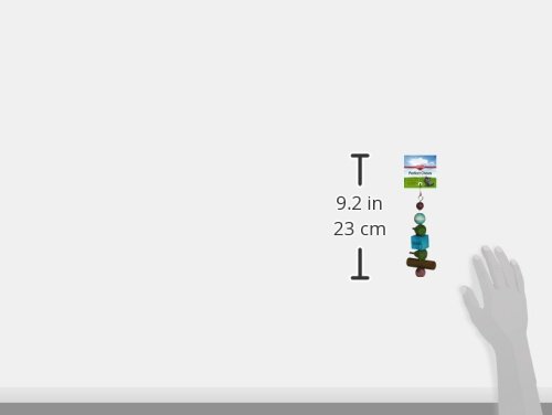 Kaytee Perfect Chews for Chinchillas