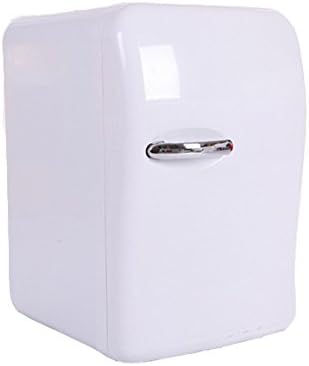 Portable 20L Mini Fridge Electric Cooler and Warmer, Thermoelectric System, DC 12V / AC 110V Power for Home, Office, Car &amp; Boat (White)