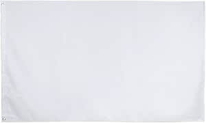 Amazon.com : 3x5 Foot Solid White Flag - Plain White Flags : Patio ...