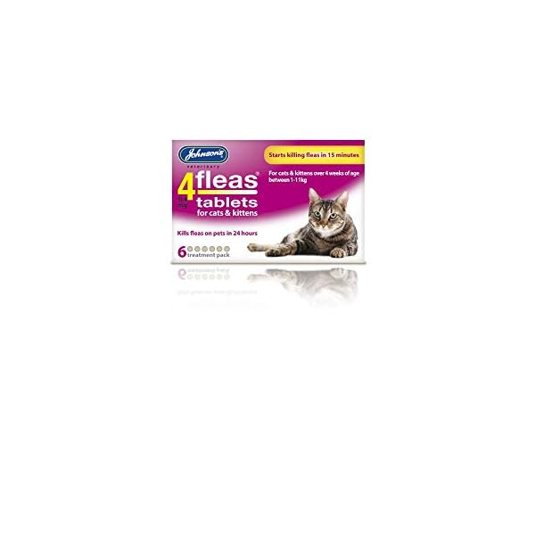 Johnsons-4Fleas-Tablets-for-Cats-and-Kittens-Pack-of-6 Johnsons 4Fleas Tablets for Cats and Kittens, 6 Treatment Pack, 14D083