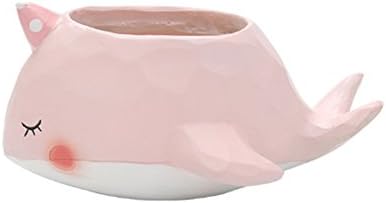 Succulent Pot Cute Animal Shaped Cartoon Home Decoration Succulent Vase Flower Pots/Cactus Plant Pot Flower Pot/Container/Planter Package (Pink whale)