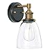 Linea di Liara Fiorentino Black and Gold Wall Sconce Lighting Fixture Farmhouse Bathroom Wall Sconce Bedroom Wall Lighting and Hallway Wall Light with Clear Glass Shade, LED Bulb Included, UL Listed