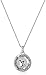 Amazon Essentials Sterling Silver Zodiac Sign, Capricorn Reversible Pendant Necklace, 18