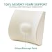 RECCI Ergonomic Lumbar Pillow - 100% Pure Memory Foam Back Cushion for Office Chair, Car, Bed, Sofa, Couch, Back Support Pillow for Back Pain Relief, 13.8×13×4.7 inch, Grey