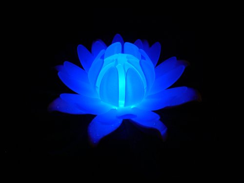 Fortune Products GL-301-ABW Glow Lily Light, 5-1/2" Width x 1-3/4" Height