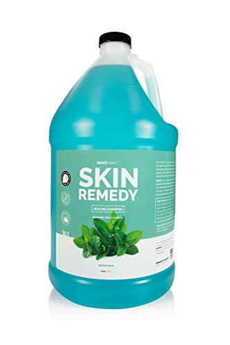 Bark2Basics Skin Remedy Dog Shampoo, 1 Gallon - CTAB Shampoo, Alleviates Skin Irritations, Fights Bacteria, Yeast, Ringworm, Crusting and Flaking , Mint Fragrance