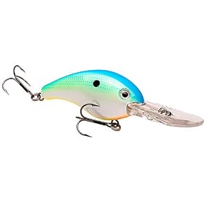 Strike King Hc10 X D-534 Pro Modèle Cb