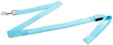 Rave Doctor | Premium LED Leash | 3 Colors | Perfect For Concerts, Raves, Clubs, Birthdays, EDM Events, Disco Events, Partying, Music &amp; More (Blue)