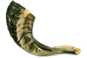 Half Polished Rams Horn Shofar (#C30) - Medium size