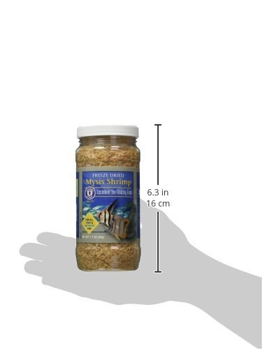 San Francisco Bay Brand ASF71720 Freeze Dried Mysis Shrimp for Fresh and Saltwater Fish, 48gm