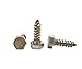 Stainless 5/16 x 1 Hex Lag Screw (1