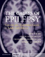 THE CAUSES OF EPILEPSY