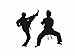 Karate Martial Arts Tae Kwon Do Jiu Jitsu Kids Bedroom Vinyl Wall Decal