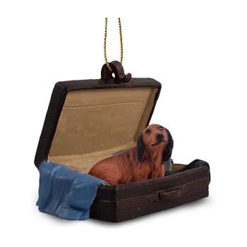 Amazon Com Conversation Concepts Black Longhaired Dachshund