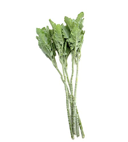 3 MaxFlowery+Premium+Artificial+Greenery+Foliage