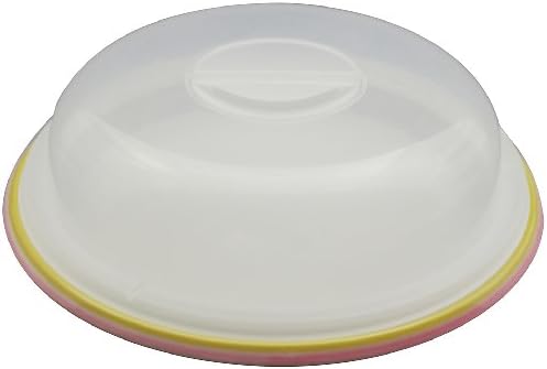 Hasami UFO range plate color line large with recipes this Z016