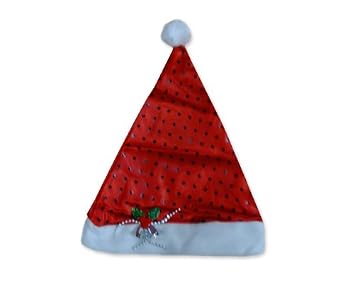 Weihnachtsmann Singend Und Twerkend
