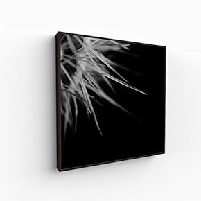 Canvas Wall Art for Living Room, Bedroom Monochrome Image Framed Canvas Prints for Home Decoration Ready to Hang - 16x16 inches