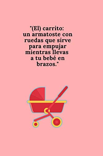 carrito empujar bebe